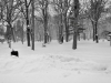 02_zima_02_2012
