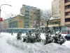 22_zima_02_2012