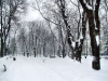 23_zima_02_2012