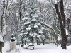 24_zima_02_2012