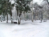 33_zima_02_2012