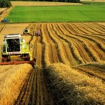 claas